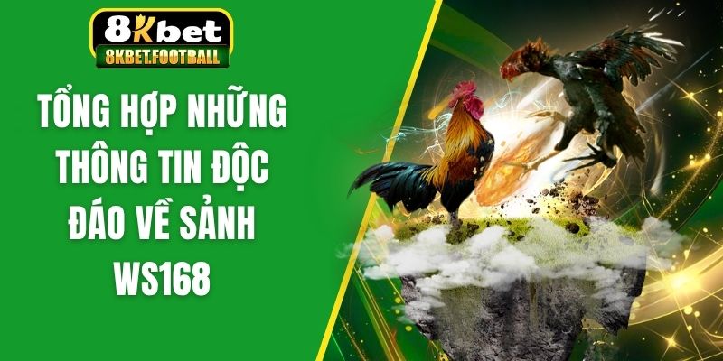 Tổng hợp những thông tin độc đáo về sảnh Ws168